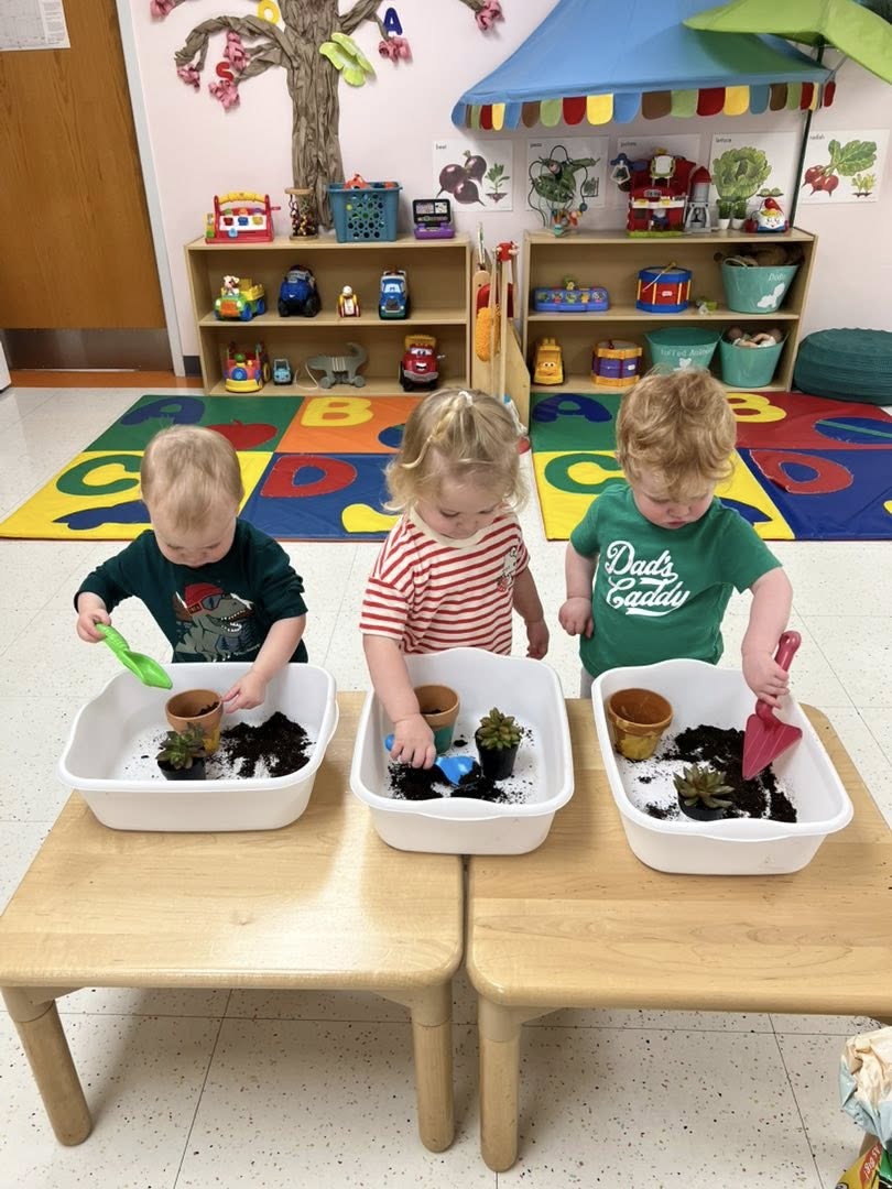 Three toddlers using small trowels to pot succulents in tubs of soil.
